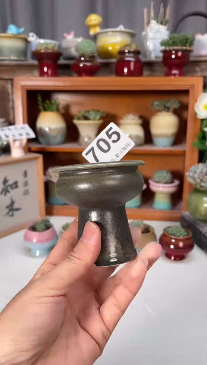 瓷片705小芳直播编号
