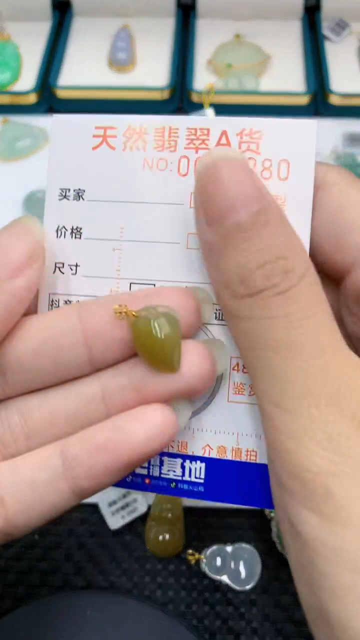 【闪购商品】翡翠颈饰18K金镶嵌            8