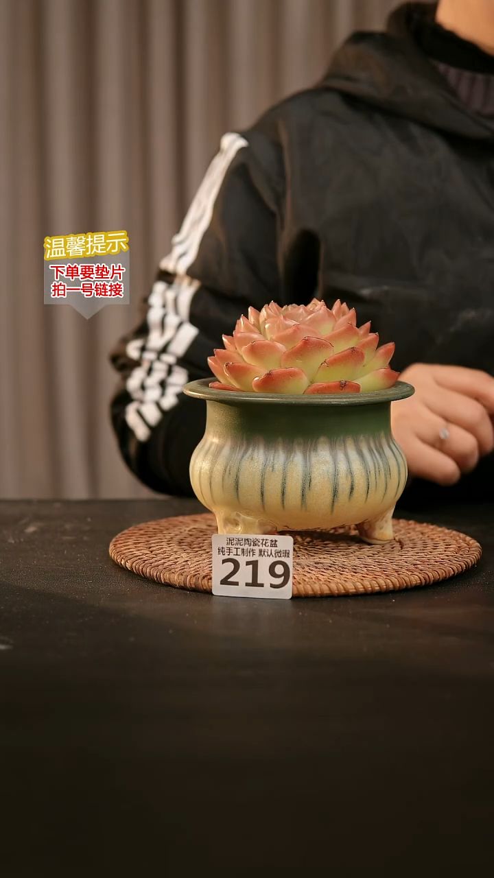 瓷片219内口径约 9-10 外高约9-10