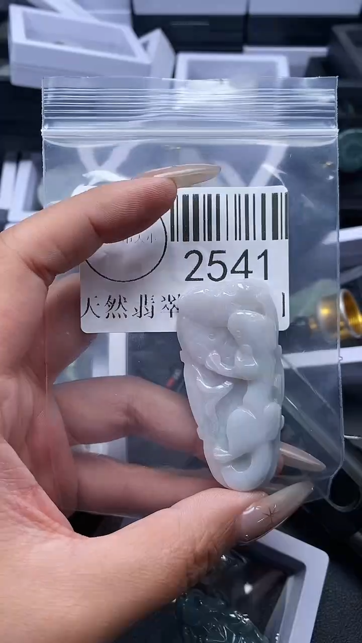 颈饰未镶嵌翡翠2541