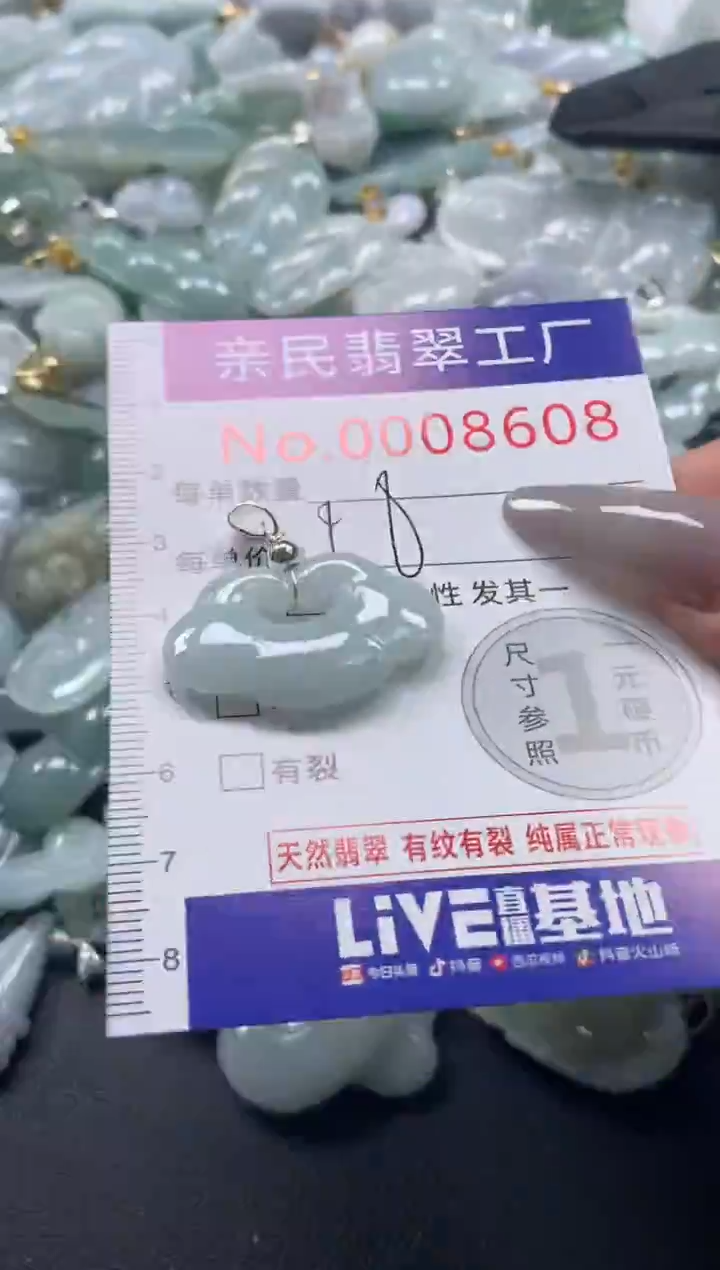 颈饰未镶嵌翡翠8608