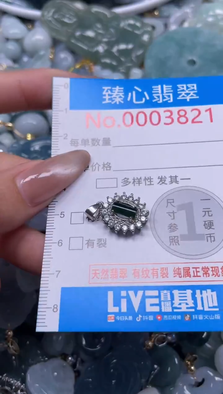 颈饰未镶嵌翡翠3821