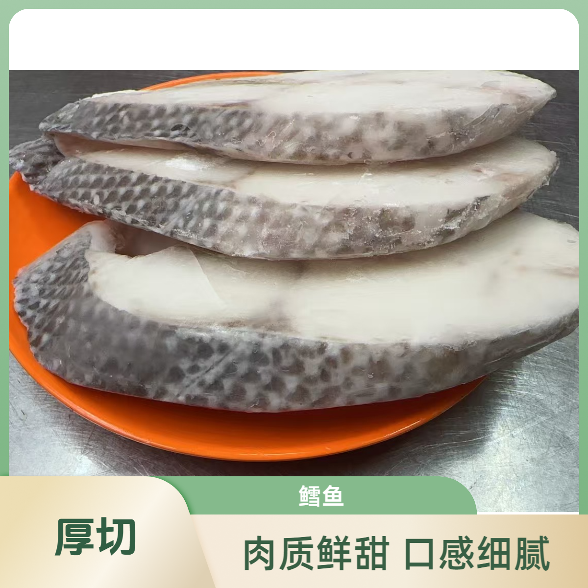 鳕鱼4.8-5斤【仅限福建省内可拍】