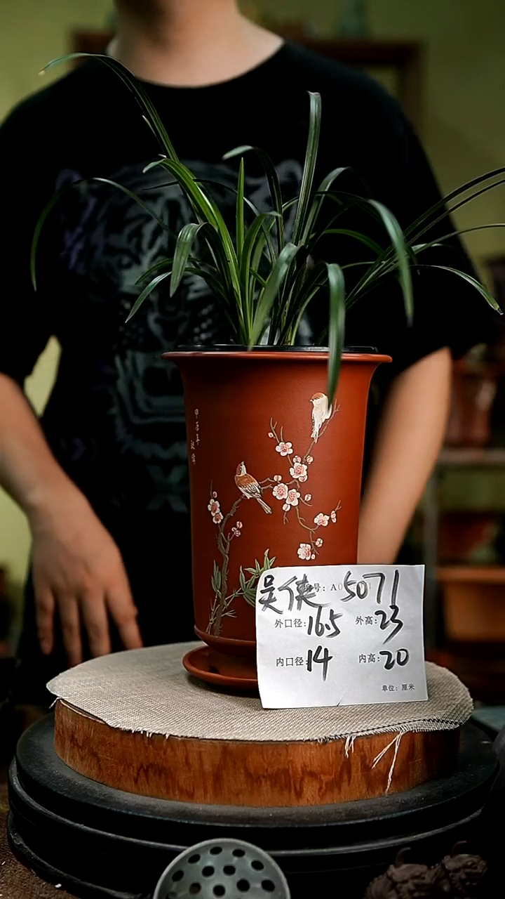 紫砂花盆花卉园艺5071+z