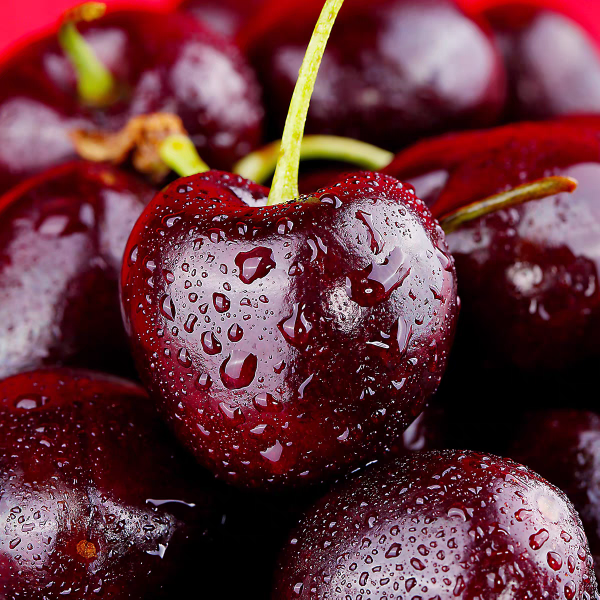 【小时达】智利海运J车厘子桑缇娜5斤智利