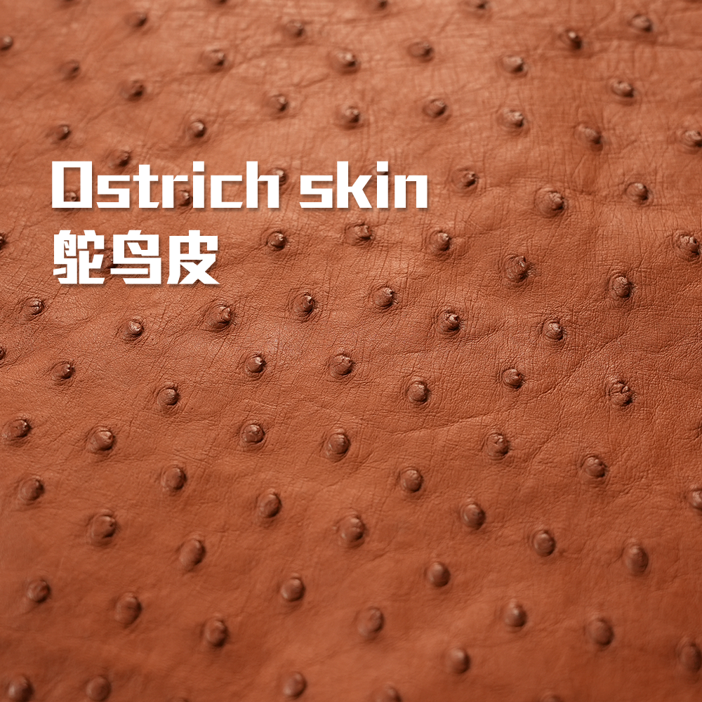 【S192-S205】时代品牌稀有皮高定女包 单肩斜跨包