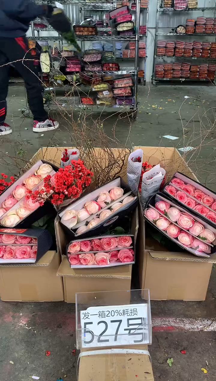 527号♥中通含20%耗损发一箱鲜花
