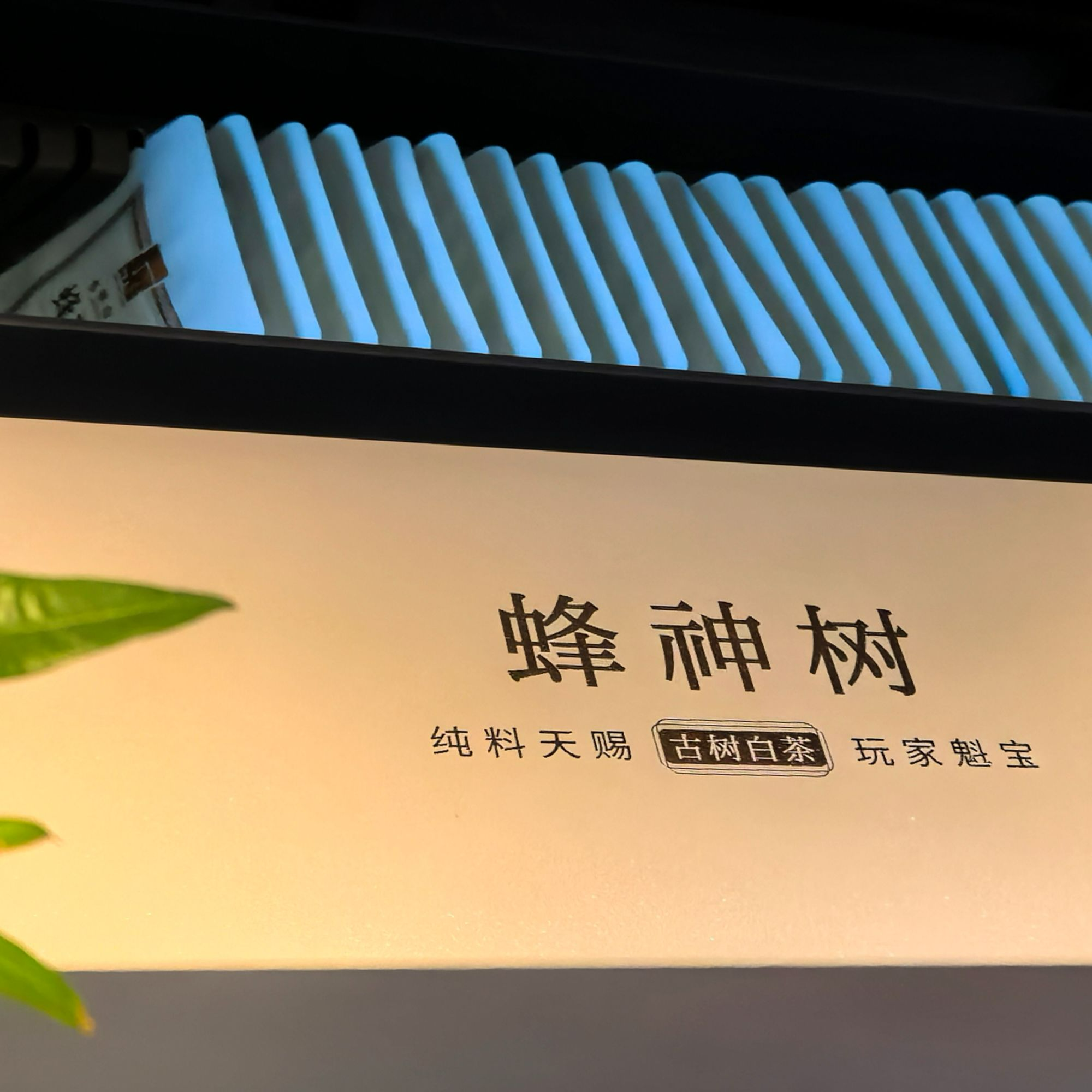 蜂神树（紧压茶）产地云南·景迈山 规格：8克×25片 口感香甜滋味醇厚