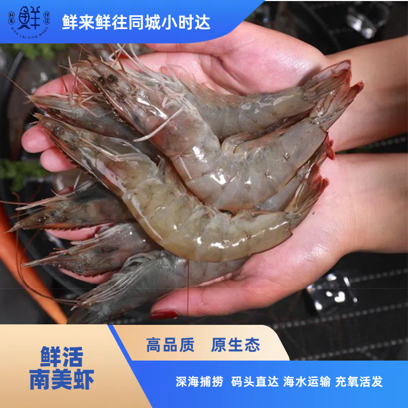 【卤虫2斤】鲜活南美虾2斤 吃卤虫长大的海水虾（一斤约15只左右）口感鲜甜肉紧实 保鲜不保活