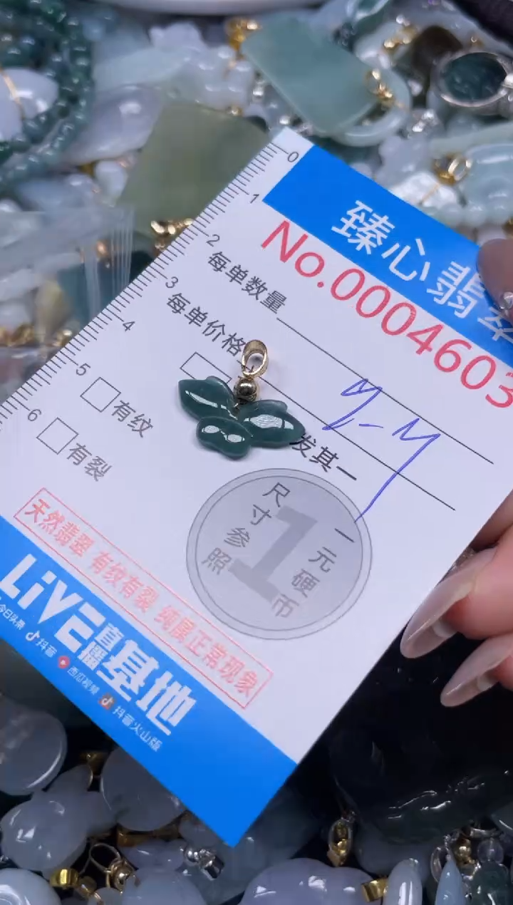 颈饰未镶嵌翡翠4601