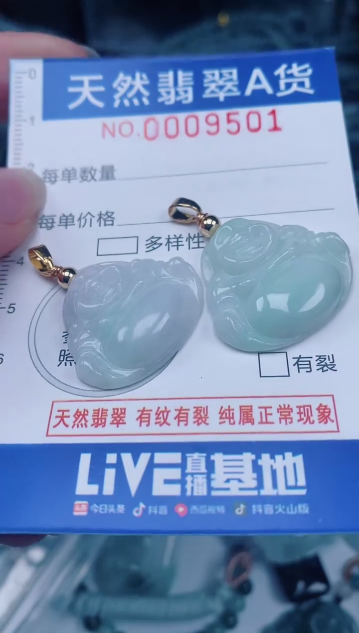 颈饰未镶嵌翡翠00009501