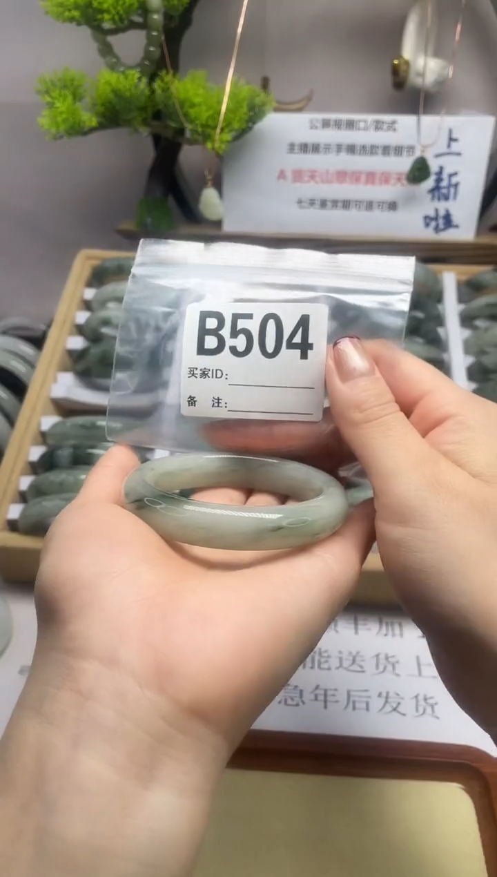 【闪购商品】石英质玉（天山翠）手镯未镶嵌b504