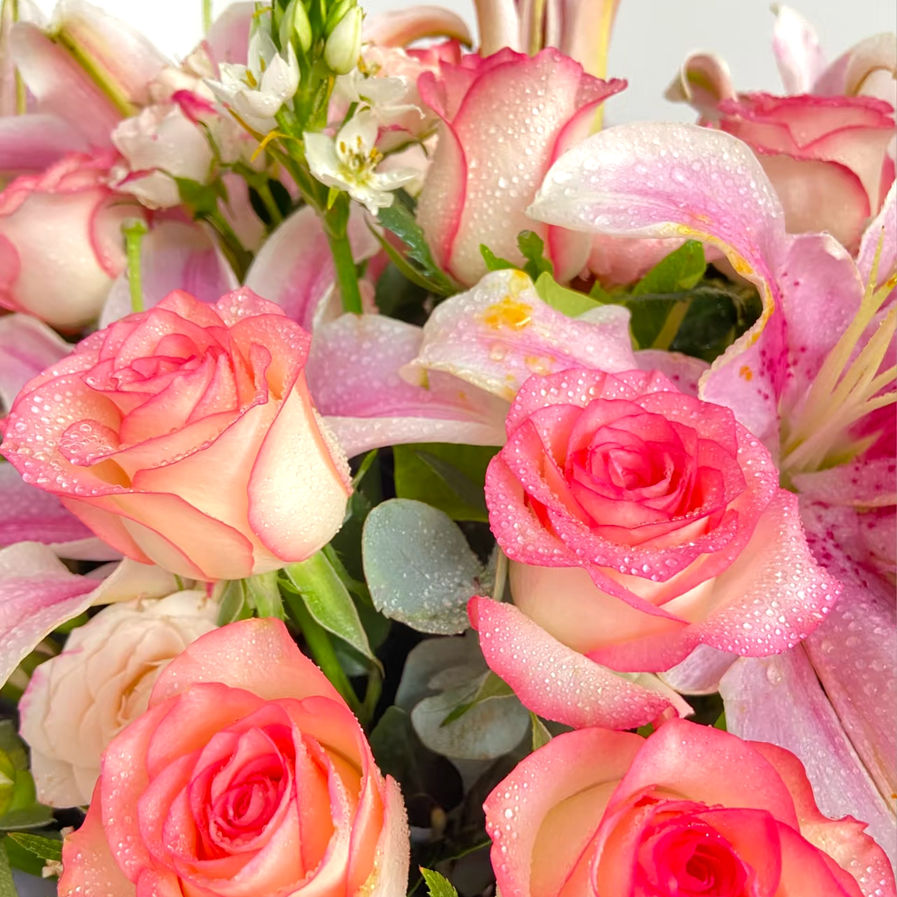 【新粉新年玫瑰套餐福利】爱莎玫瑰+香水粉百合+红豆一扎+腊梅1扎