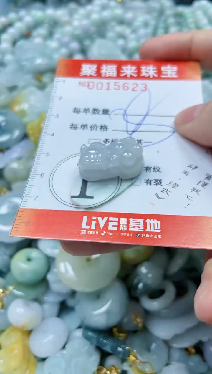 【闪购商品】翡翠颈饰未镶嵌闪购0015623