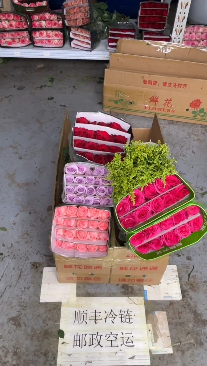 戴安娜20枝+佛洛依德20枝+海洋之歌20枝+高原红20枝+黄莺3扎