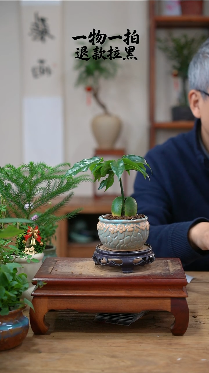 完全开放ঞ****。开心果108