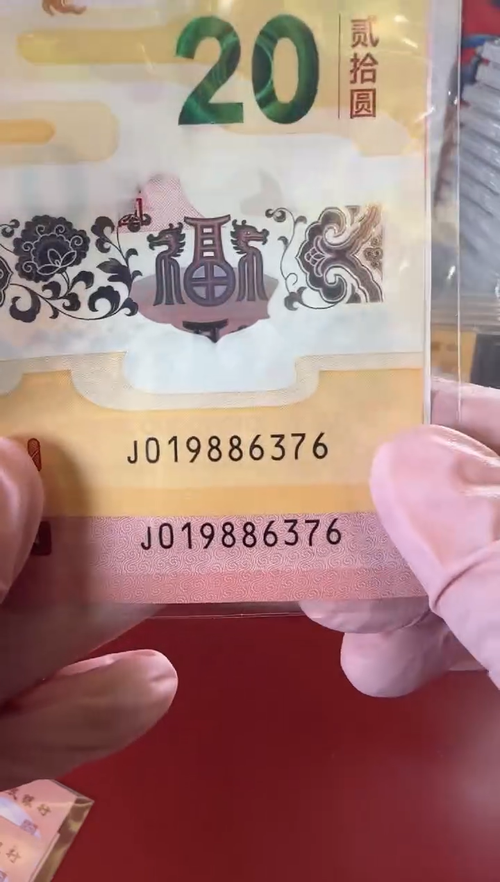 【闪购商品】塑料2025龙蛇 啊啊啊啊啊啊啊啊全同号裸