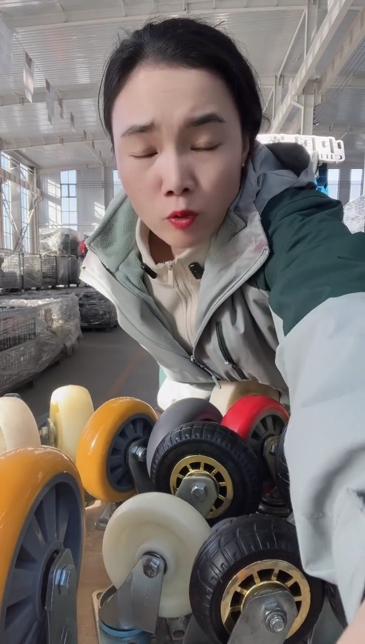 50厚6寸定向20 万向18 刹车2