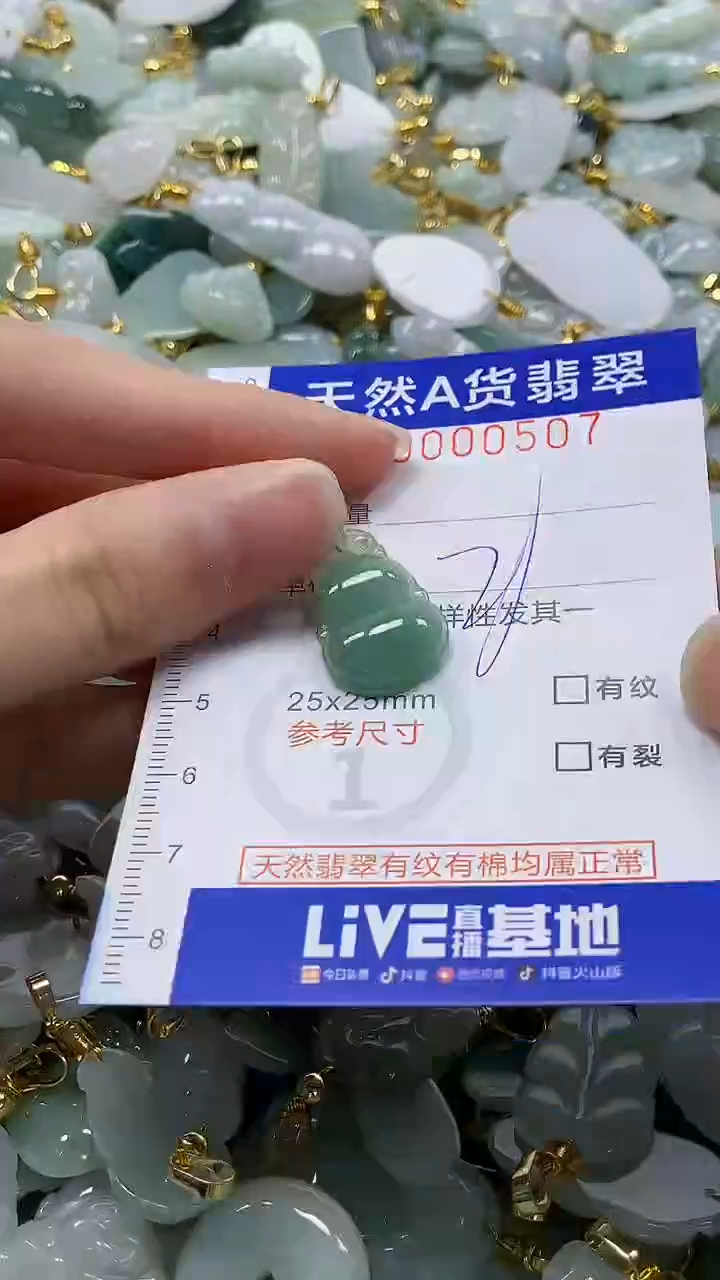 颈饰未镶嵌翡翠纯天然a货翡翠