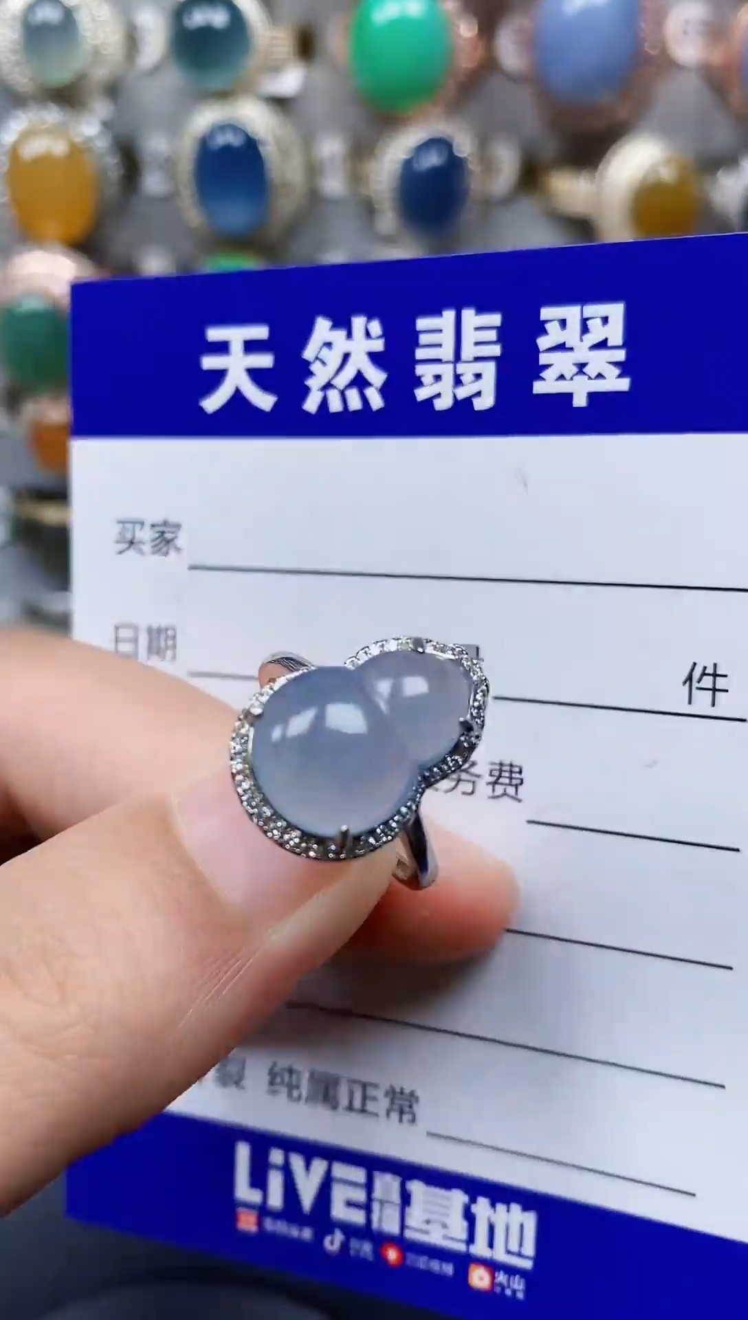 银S925镶嵌翡翠耳饰143