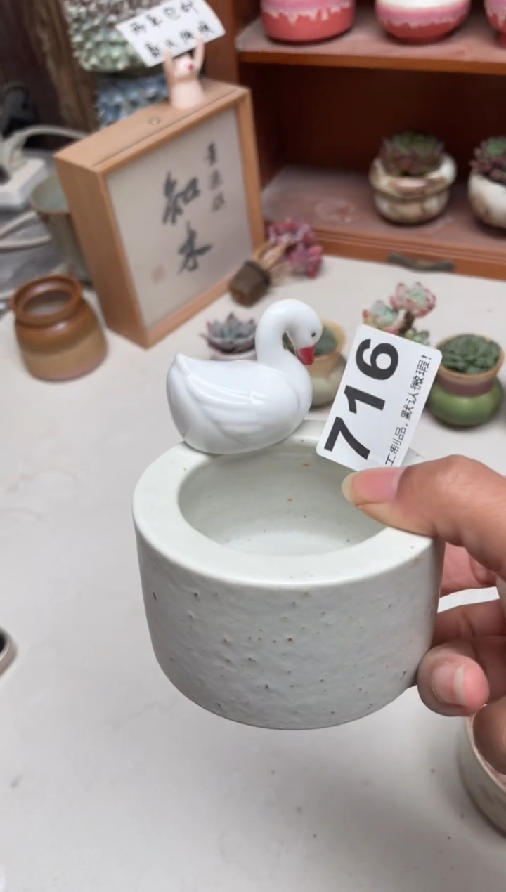 瓷片小*爱716福利知木小芳花盆