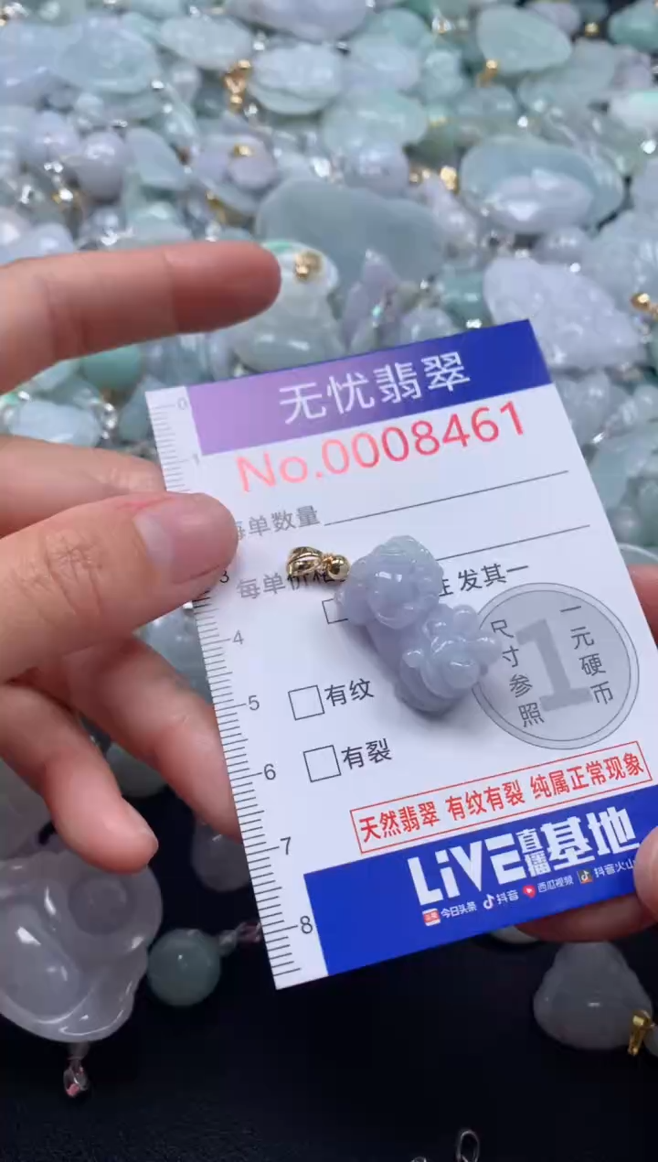 颈饰未镶嵌翡翠8461