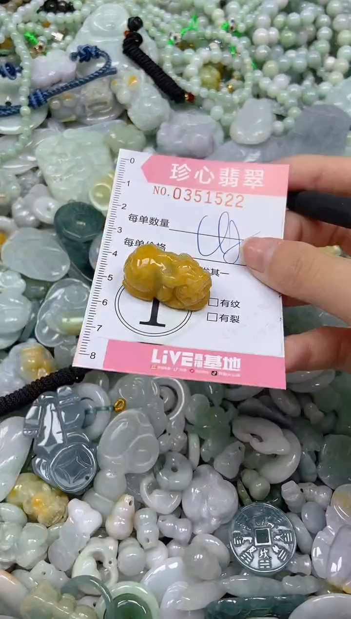 颈饰未镶嵌翡翠闪购0351522