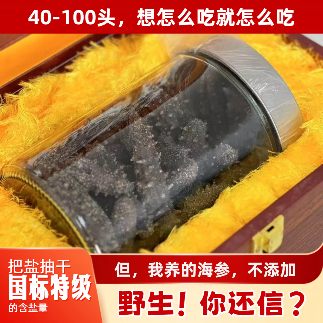 无添加青岛围堰海参，高端口粮参，国特高泡发，40-100头，500g