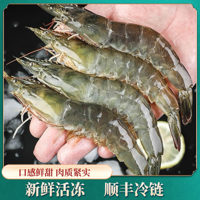 5斤特大号2030海洋大虾 新鲜活虾锁冻12-15只左右/斤顺丰冷链发货