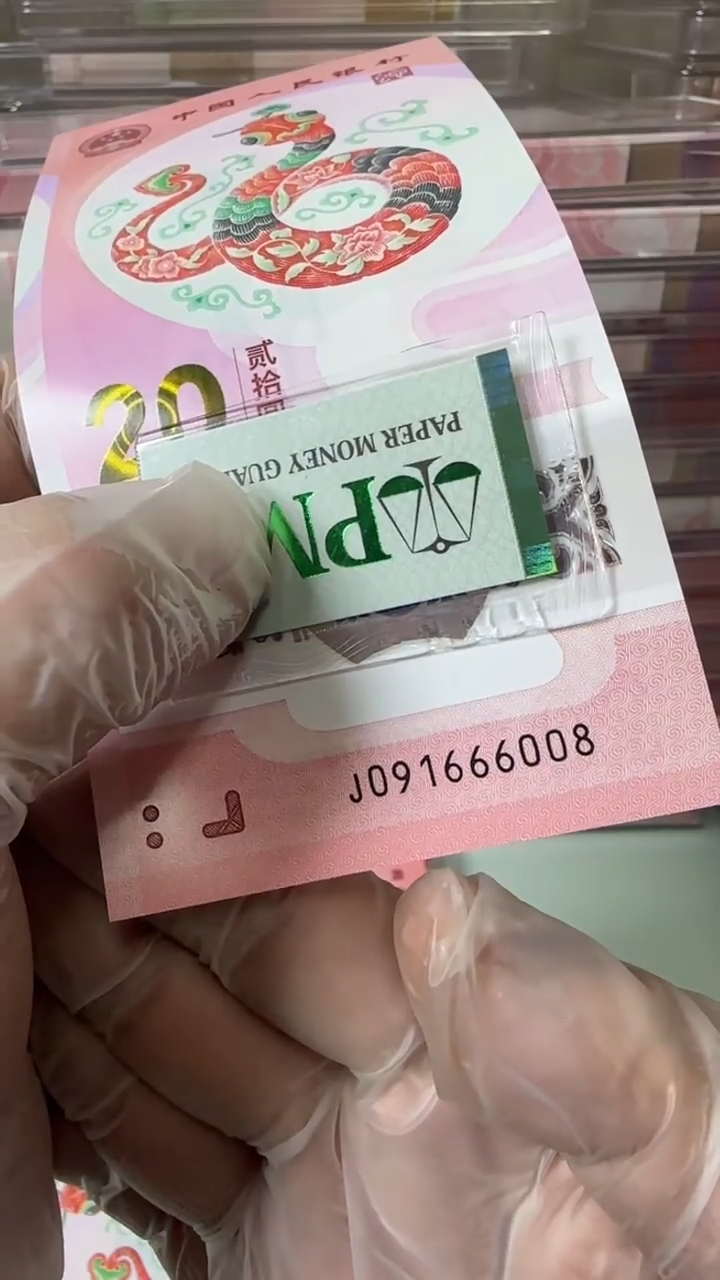 【闪购商品】塑料091666008-包PMG67分