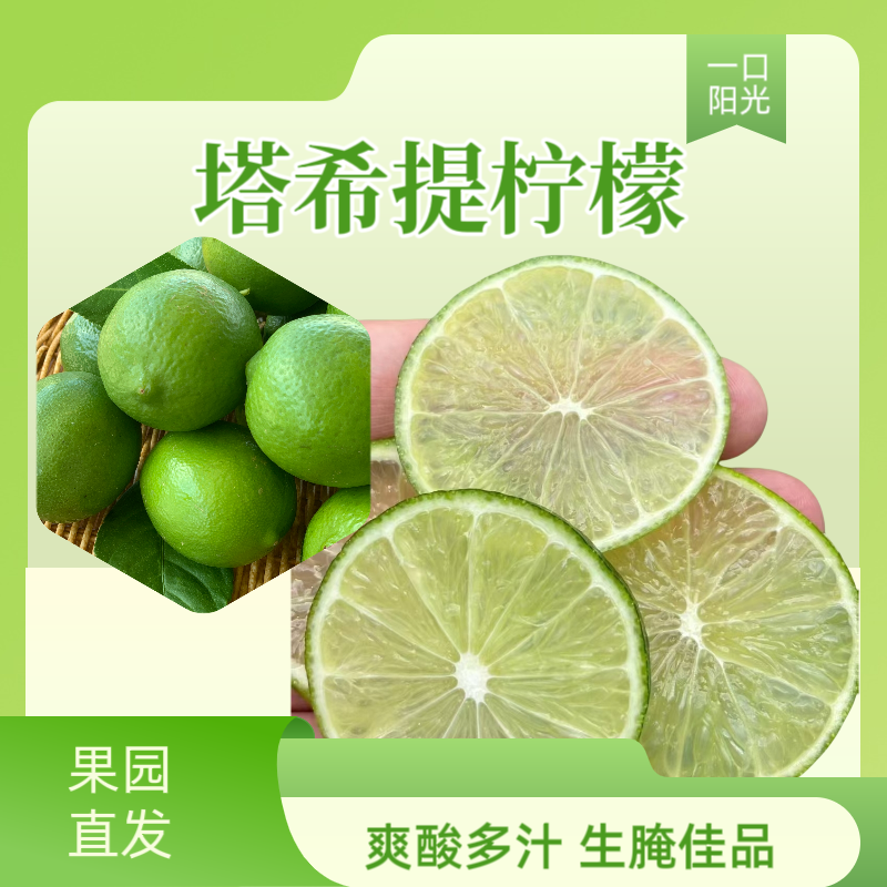 塔希提无籽柠檬新鲜皮薄果香多汁果园现摘