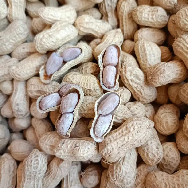 广西农家水煮咸干花生小咸豆（顺丰包邮）