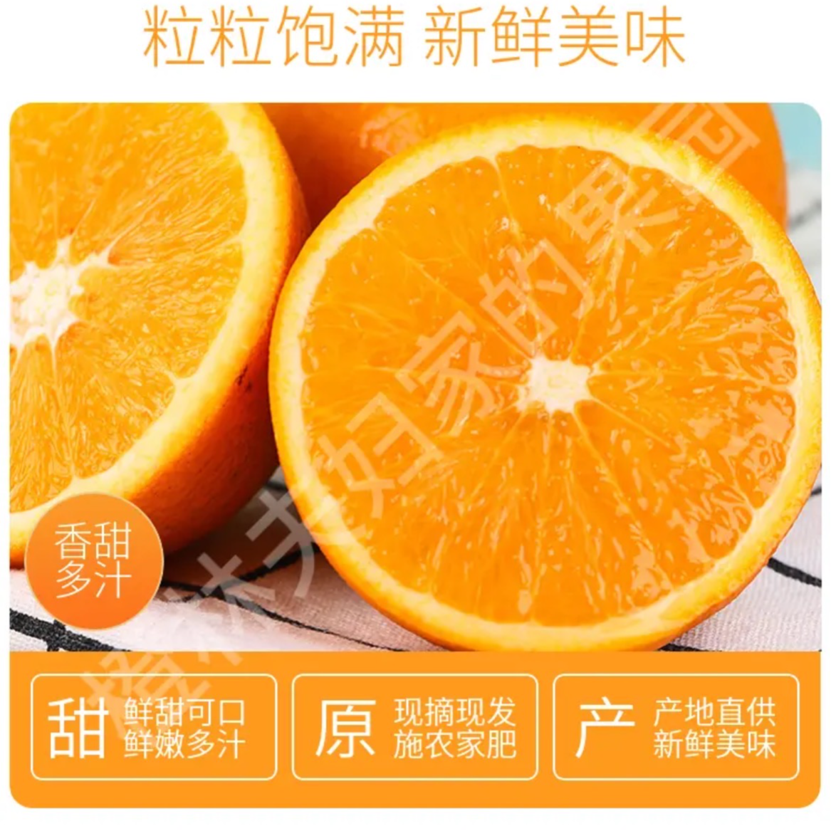 四川爱媛柑橘橙爆汁皮薄肉厚9斤