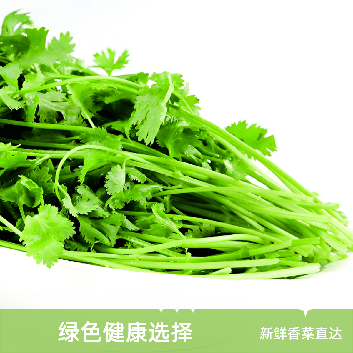 博士农场新鲜现摘现发香菜150g