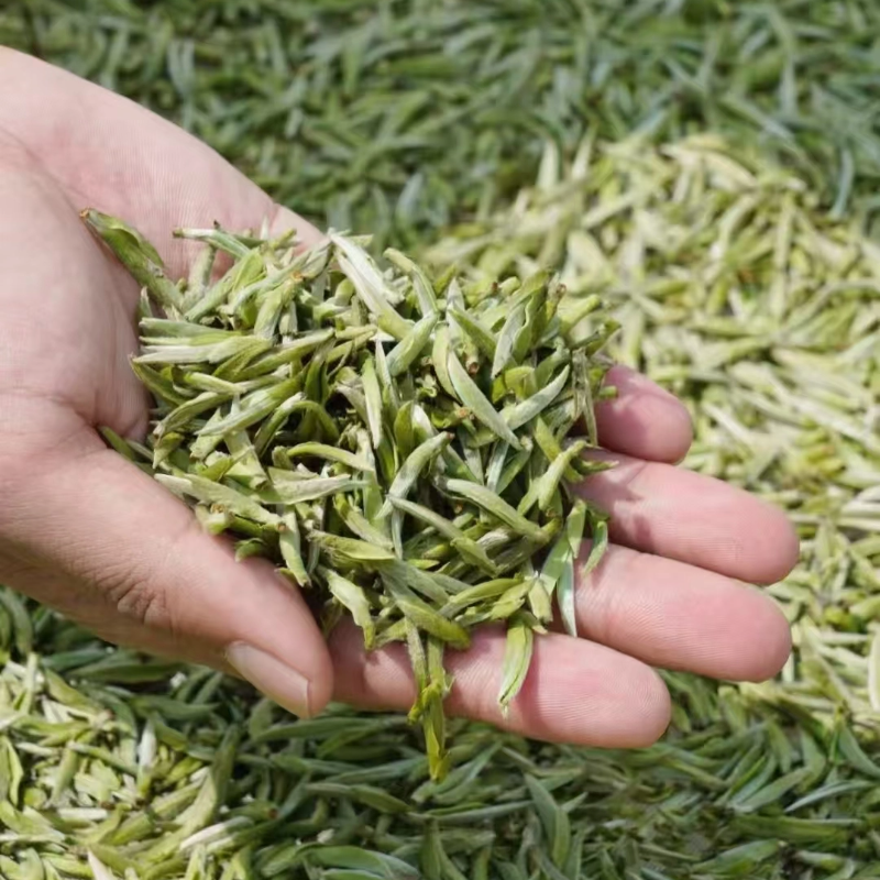 【520年终福利】福鼎白茶/粉丝福利/个性需求（退货需退回所有物品）