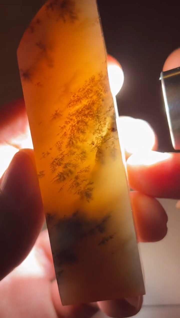 【闪购商品】巴林石印石篆刻焦新帅SX44093博观而约取 