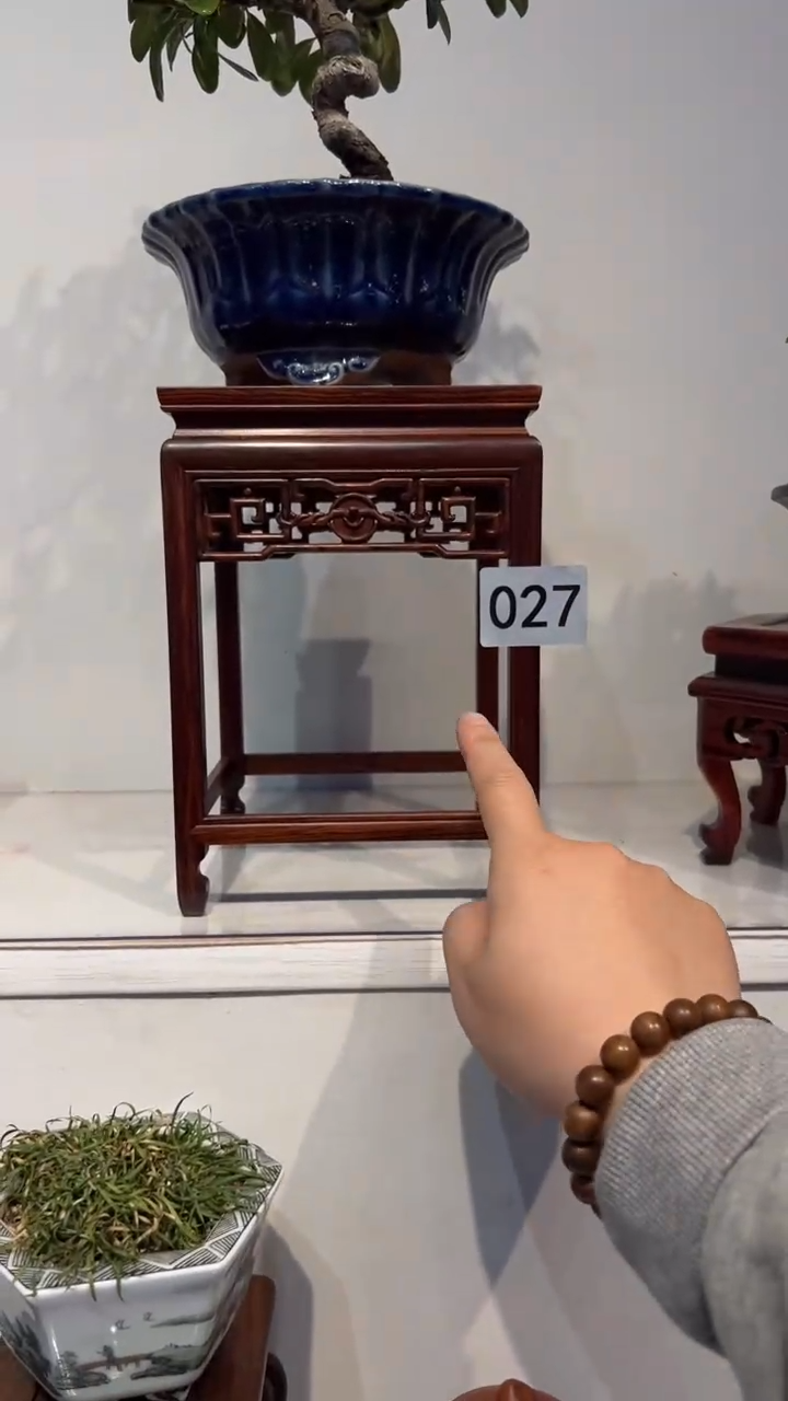 【闪购商品】紫砂1紫砂紫砂紫砂紫砂紫砂红