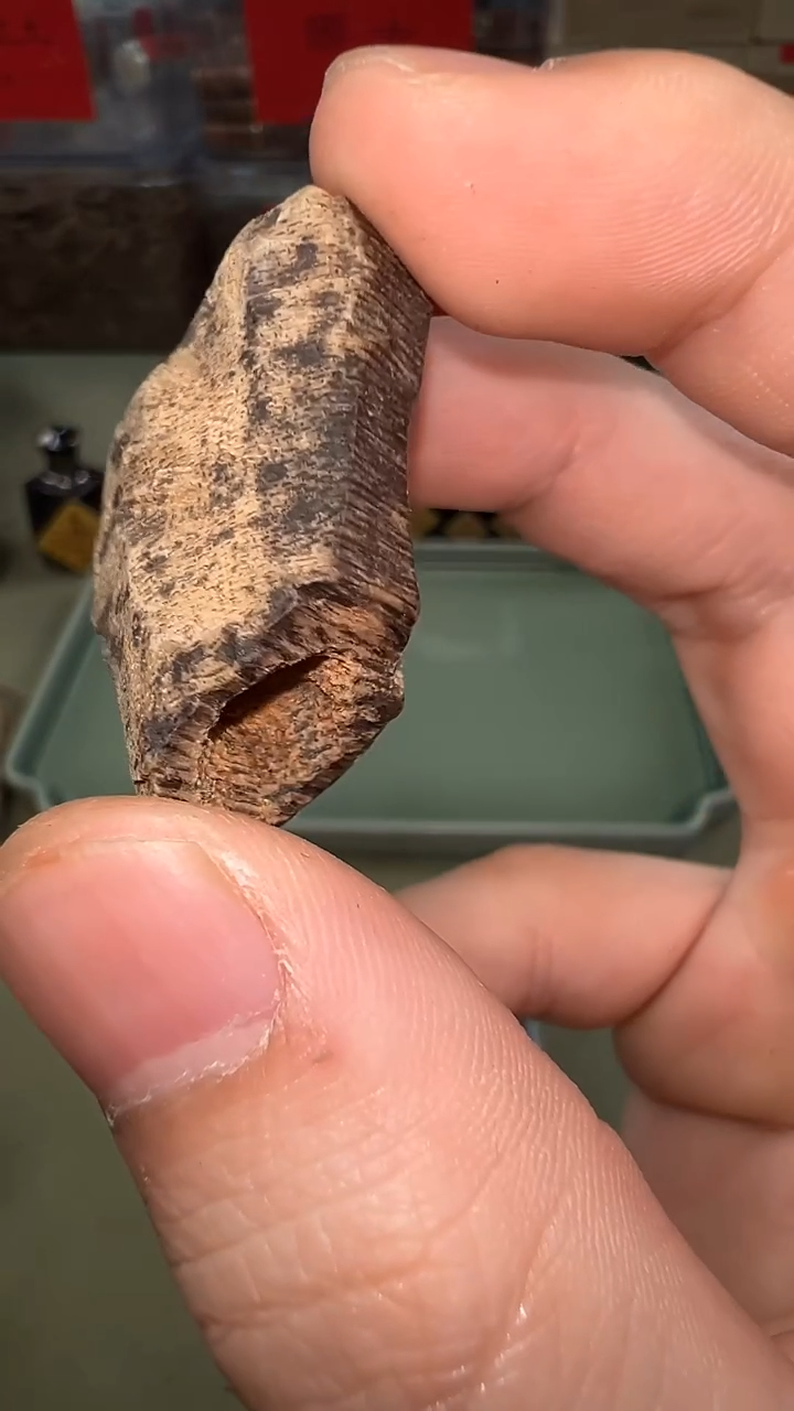 无*。越南芽庄黑棋沉水横财原料