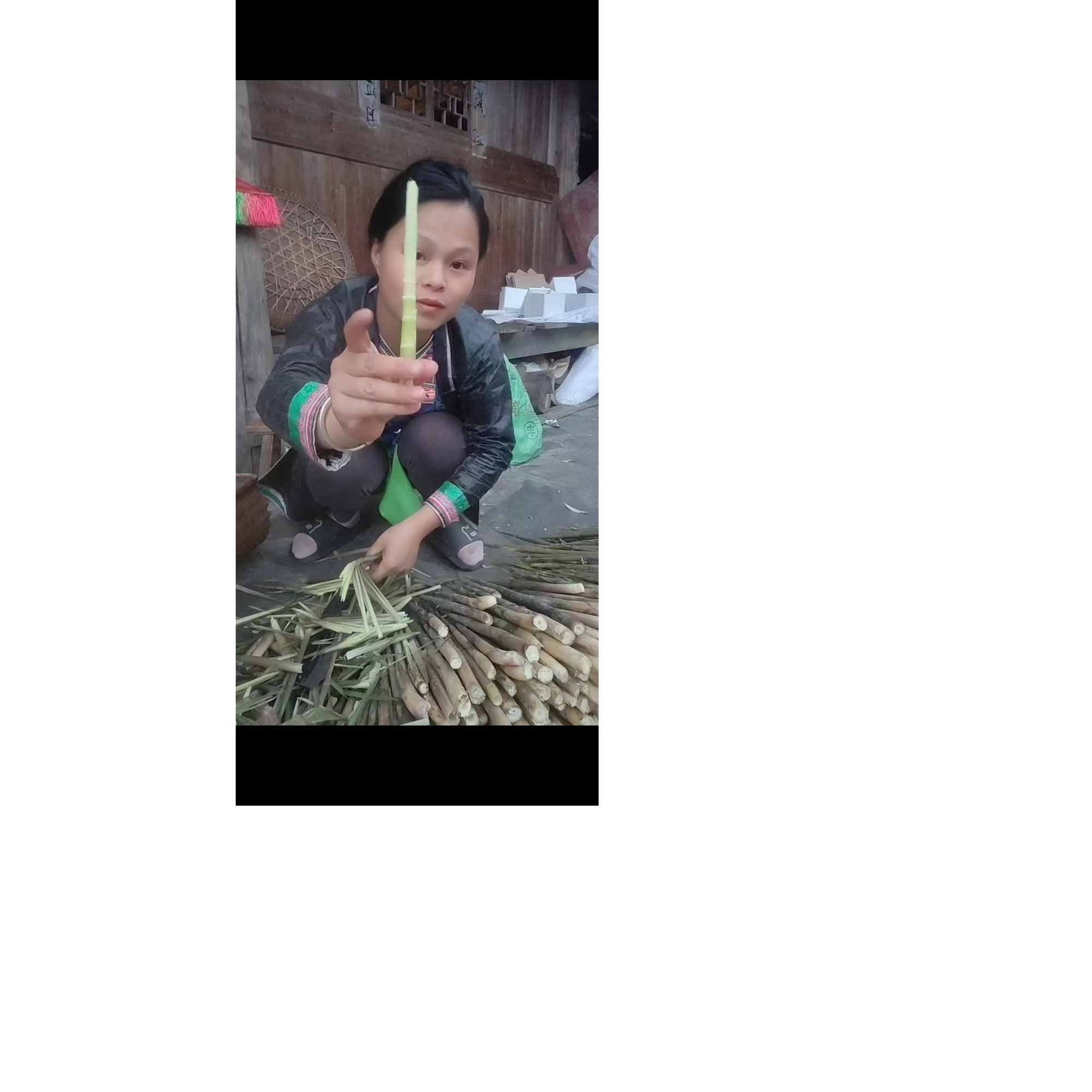 贵州黔东南水竹笋