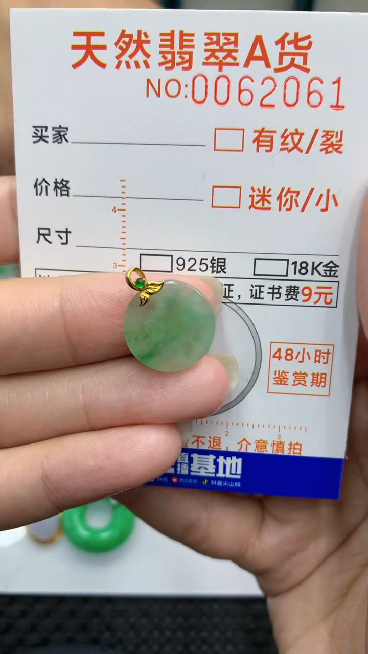 【闪购商品】翡翠颈饰18K金镶嵌            8