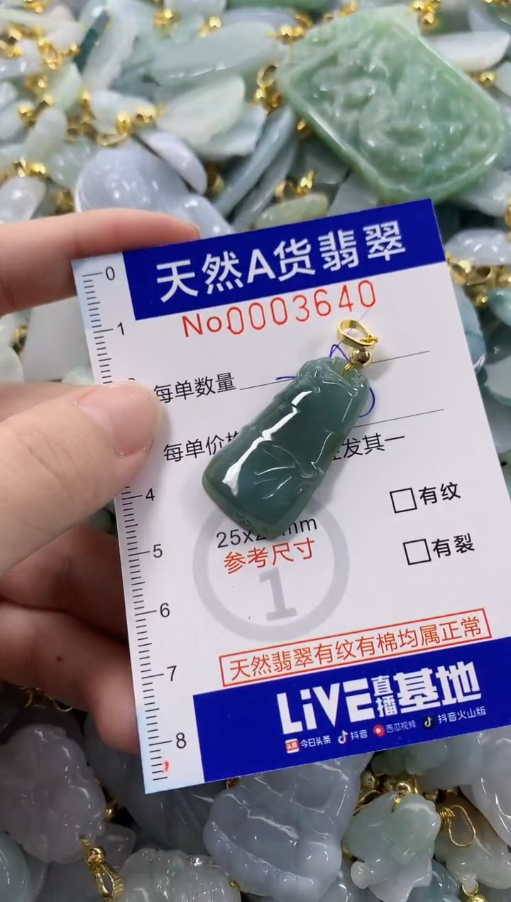 颈饰未镶嵌翡翠天然A货翡翠