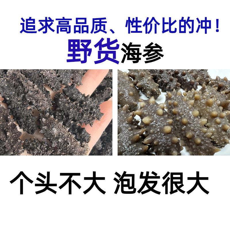 【野货】韩国东海海参 纯淡干  干海参 营养滋补食品