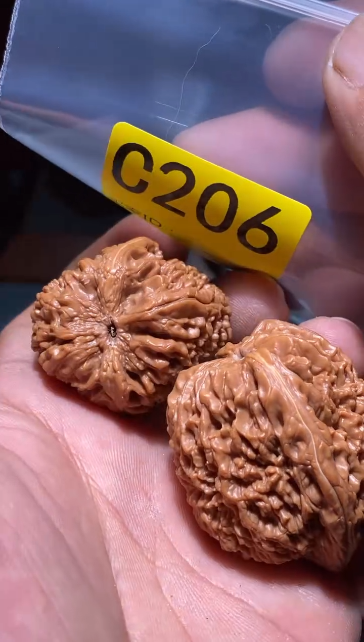 把件文玩核桃蒜头37左右微修打底C206