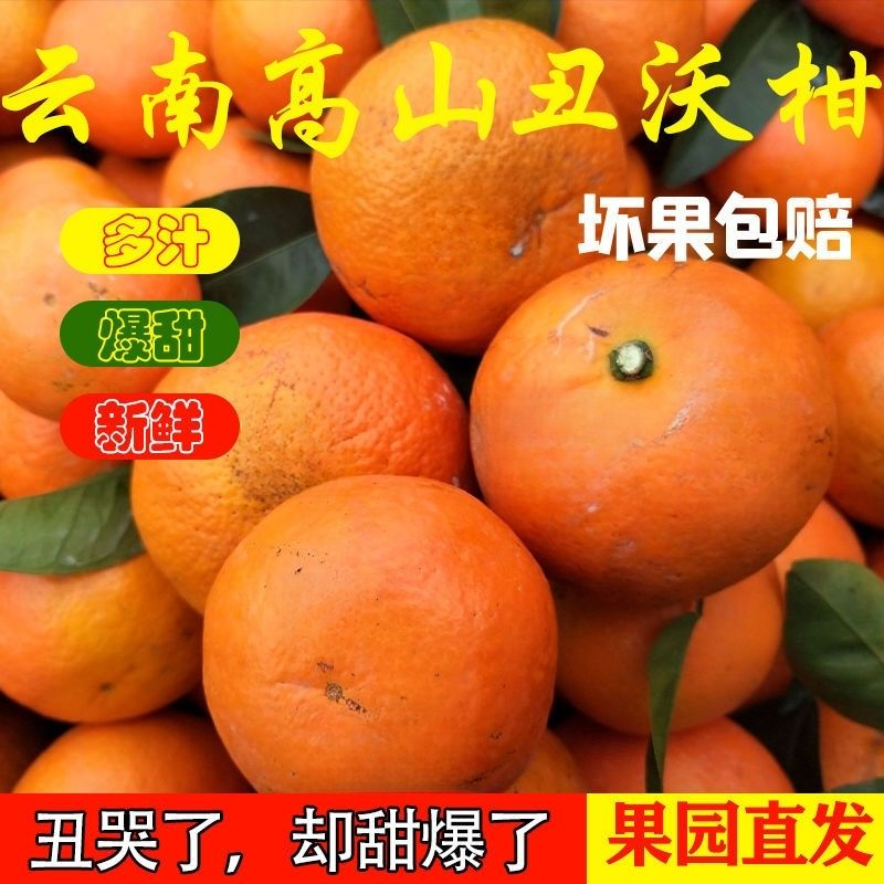 云南高原沃柑粗皮沃柑微花皮新鲜採摘发货应季水果多汁清甜爽口