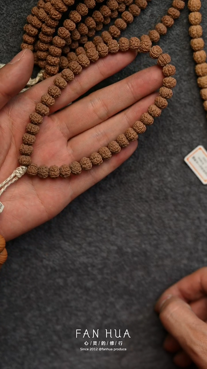 手串金刚菩提小尺寸老树王单圈 