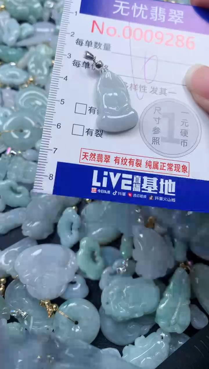 颈饰未镶嵌翡翠9286