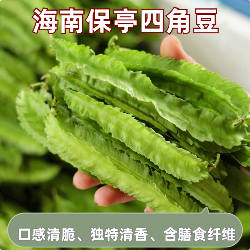 海南保亭特色四角豆新鲜现采蔬菜京东空运下单多送半斤