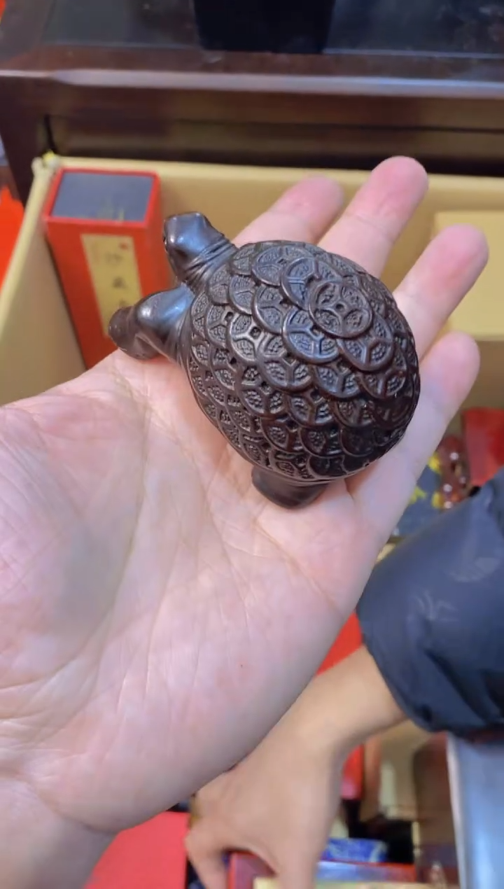 【闪购商品】木金钱龟直播推荐直播推荐