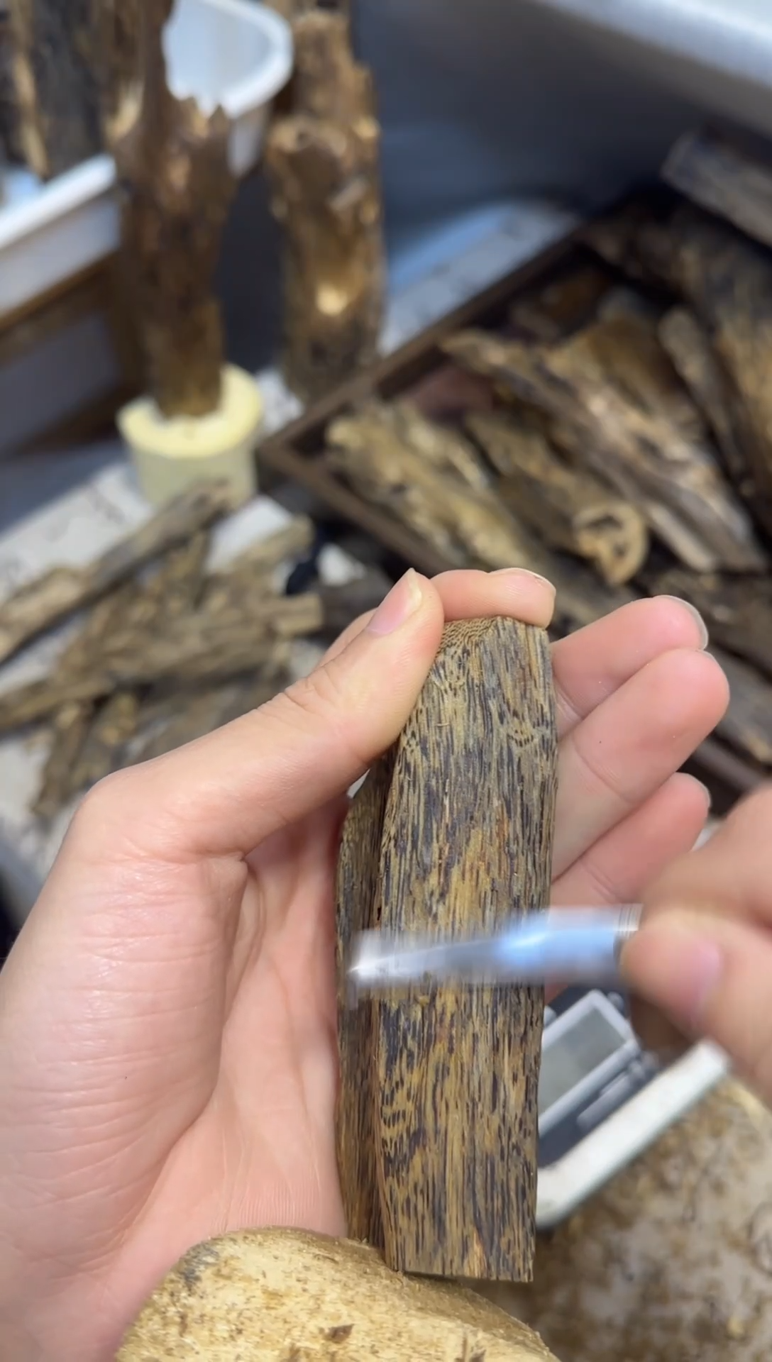 沉香沉香碎屑陆河红河手把件