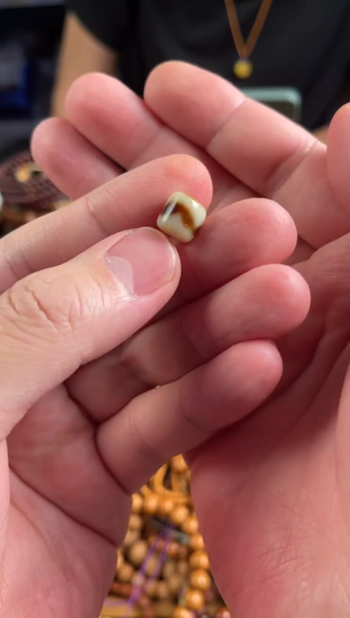 未镶嵌.玛瑙/玉髓王胖子文玩工作室虎牙单颗随机发